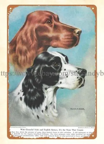 English Setter Vintage Repro Dog Art metal tin sign new ideas for the bedroom