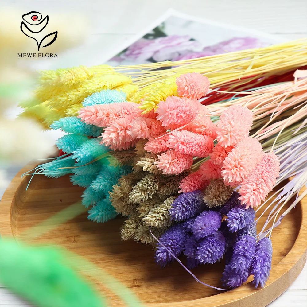 

100Pcs Fluffy Natural Rabbit Bunny Tail Boho Home Decoration Dried Flowers Phalaris Gem Grass Bouquets Wedding Decor Arrangement