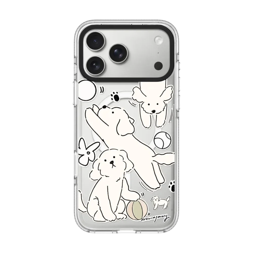

6032233 Acrylic / Mirror Magnetic Case: Compatible with IPhone 17 16 15 14 13 12 Pro Max 17 Air