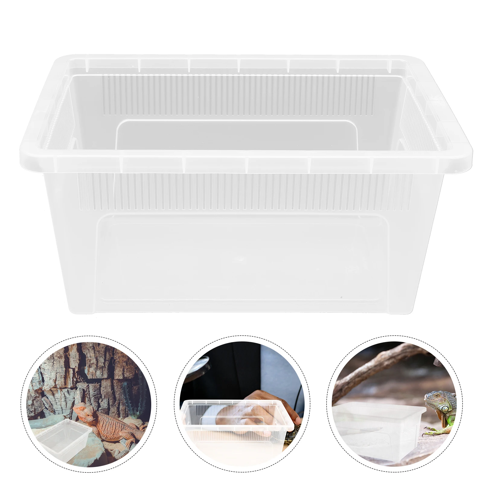 

Transparent Reptile Feeding Durable Breeding Container For Gecko Spider Snail Easy Clean Breathable Design Clear Observation