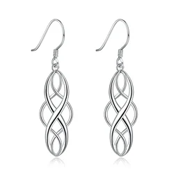 925 Sterling silver Earring For women lady elegant exquisite luxury hook Charms wedding fashion classic  jewelry