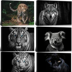 5D Diamond painitng Black Panther Black and White Tiger Love Koala Cheetah, Blue Eyes Snow Cat Head Wolf full drill mosaic decor