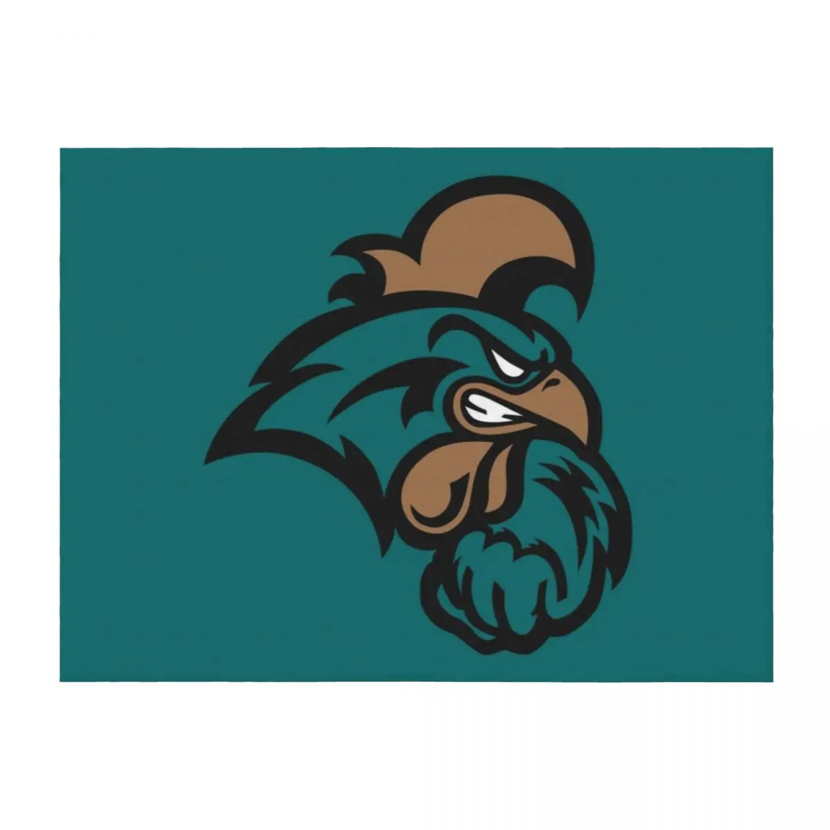

The Coastal Carolina Chanticleers Throw Blanket manga Hairy for babies For Sofa Thin Blankets