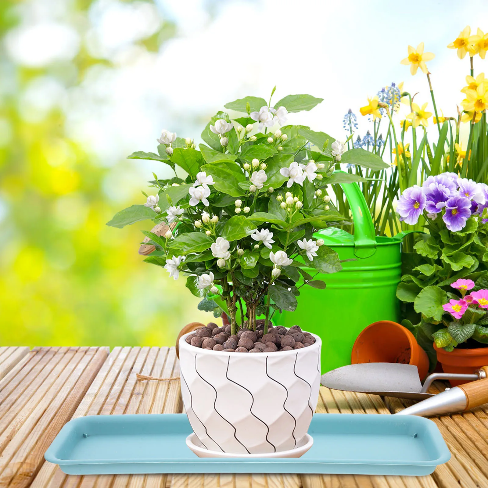 

Flower Pot Tray Plant Drip Trays for Potted Plants Large Flowerpot Saucers Plastic Water