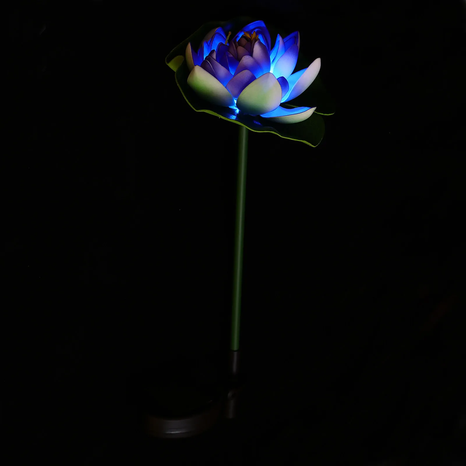 No image
