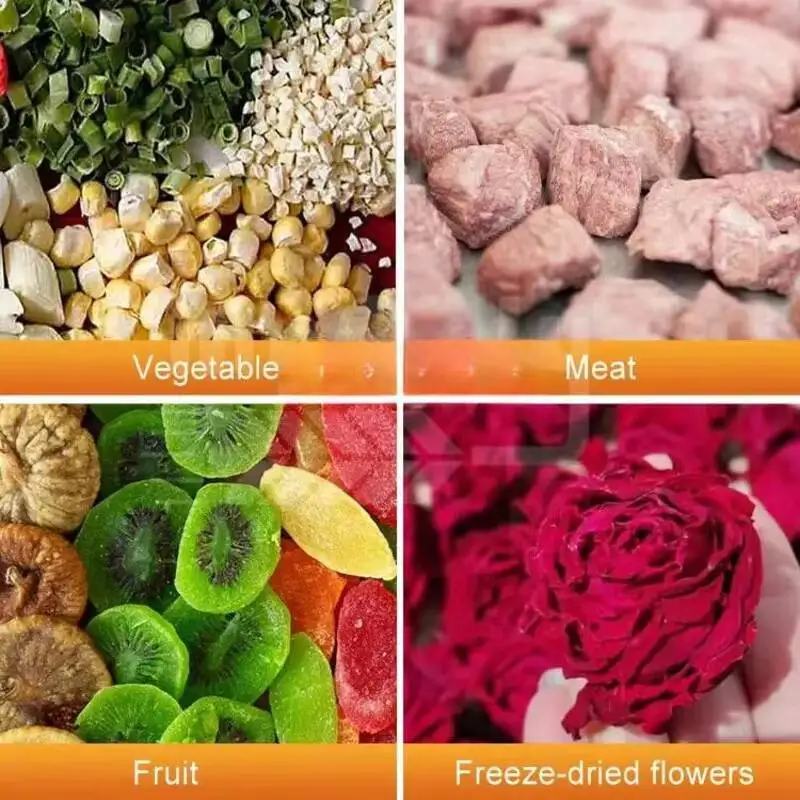 Freeze Drying Machine Cordyceps, Fruits And Vegetables, Commercial Intelligent In-situ Vacuum Freeze Drying Machine