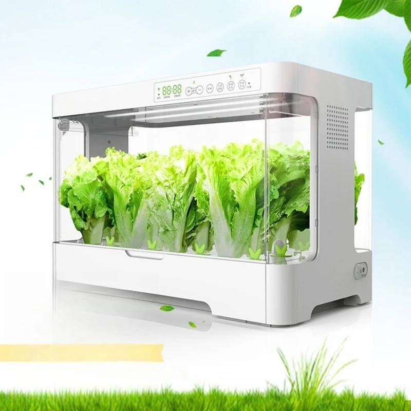 Smart Automated Hydroponic System, Indoor Soilless Grow Box for Vegetables, Strawberries & Tomatoes
