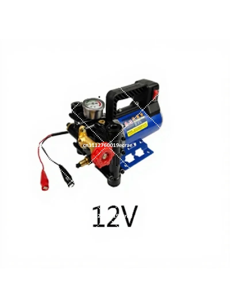 12V 24V Electric High Pressure Car Wash Sprayer Pump Agricultural Irrigation Sprayer
