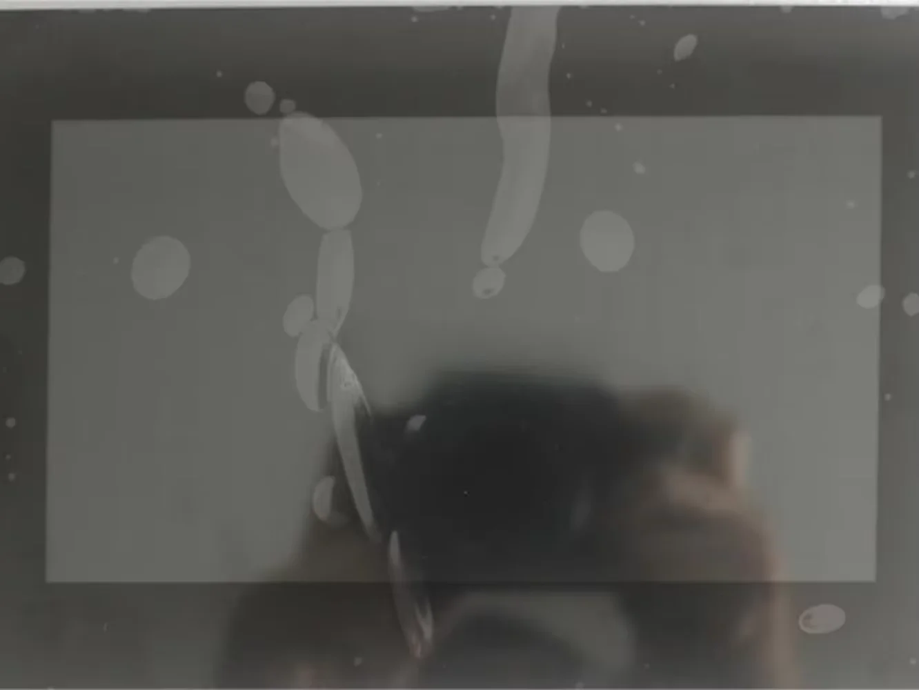 AM-1024600DTZQW-TA0H LCD Display Screen Panel