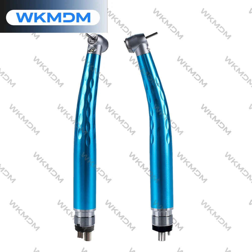 dental-equipment-manufacturer-2-hole-led-professional-handpiece