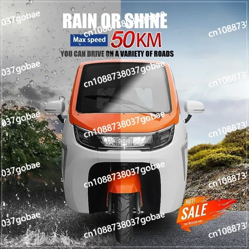 Adult Three-wheeled Three-wheeled Electric Passenger and Cargo Fully Enclosed Scooter Mini Electric Tricycle for Sale with Eec