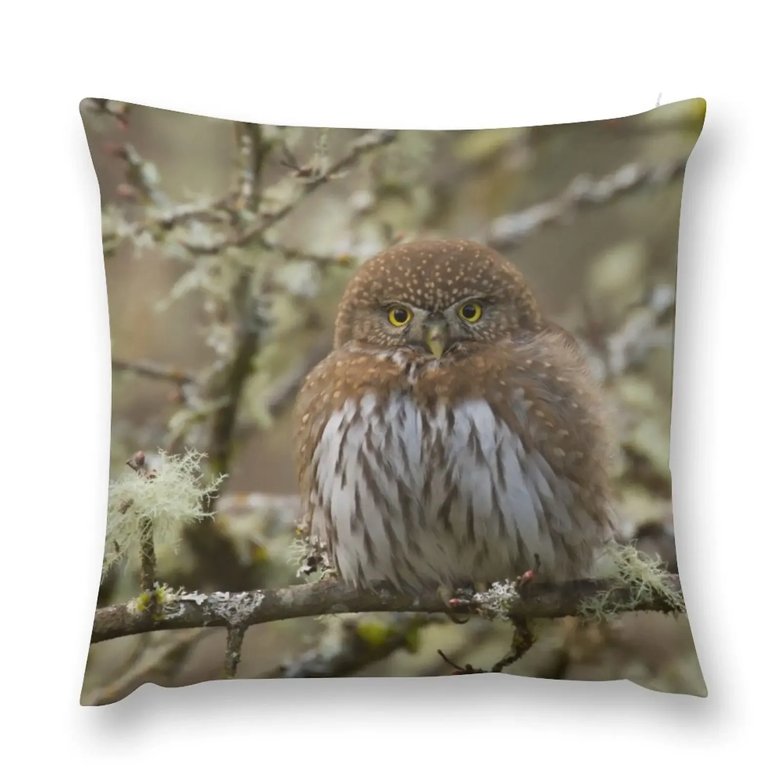 

Owl Throw Pillow Pillow Cover autumn pillowcase pillow