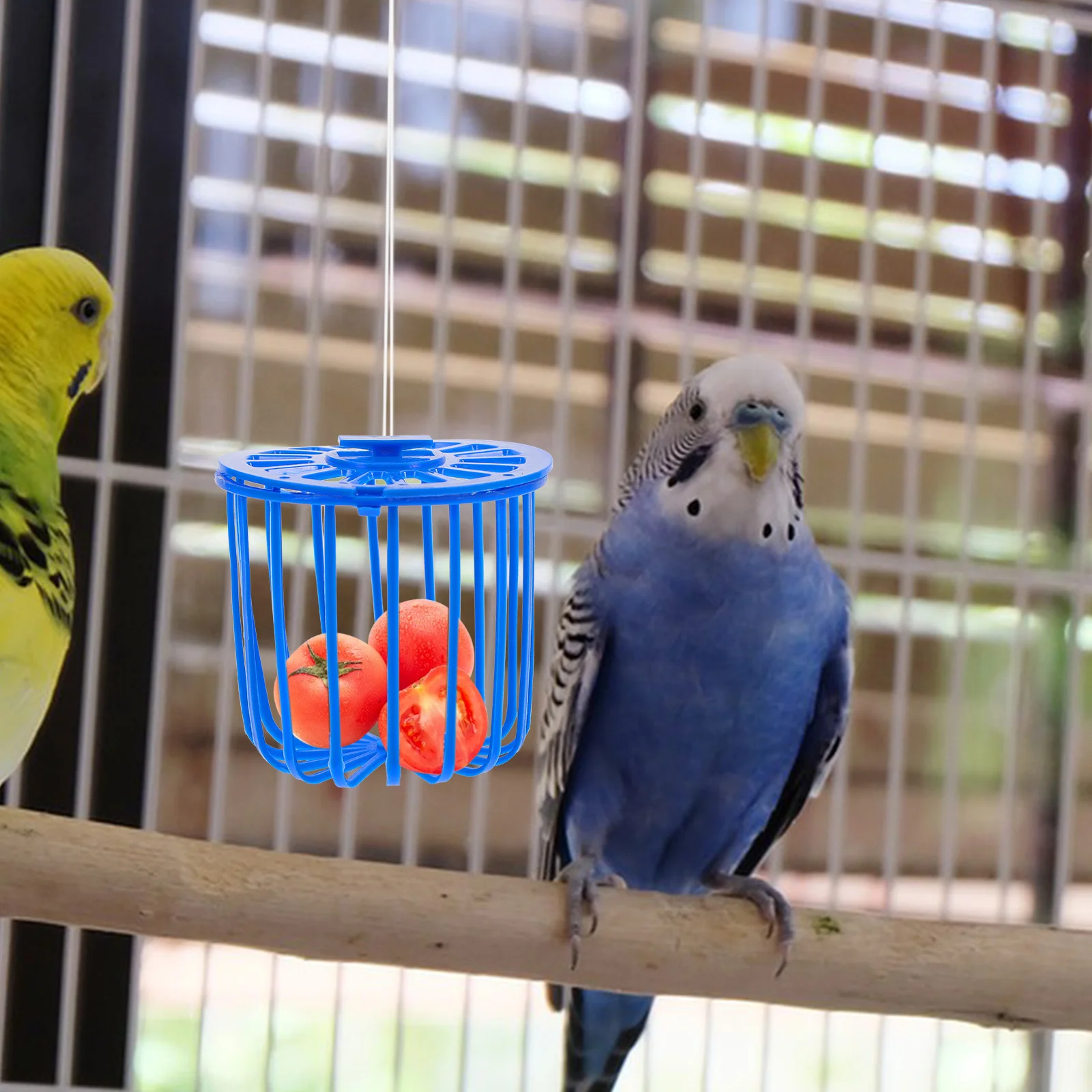 

10pcs Bird Fruit Vegetable Basket Plastic Feeder Parrot Cage Blue Hollow Food Container Easy Clean Durable Pet Supplies