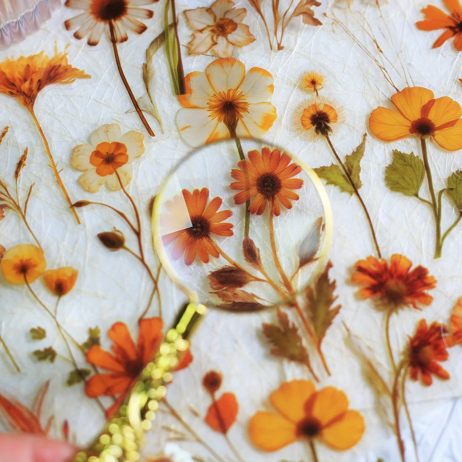 Journamm 50Pcs Transparent Decoration Flower Stickers for Scrapbooking PET Floral Stickers for Journaling Scrapbooking