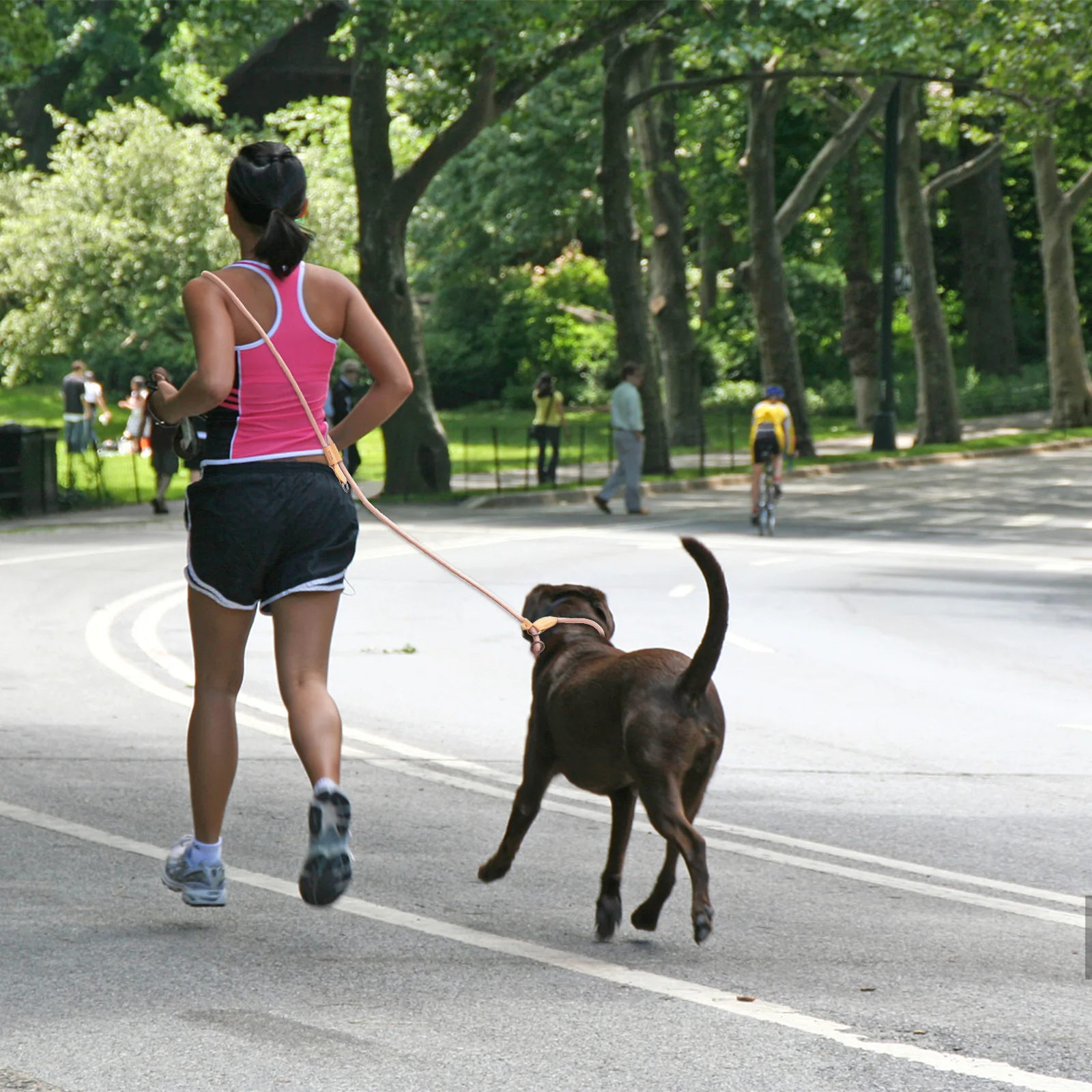 Multi-Funcional Ajustável P-shape Dog leash, corda de tração, leva para correr e caminhar, mãos livres trela