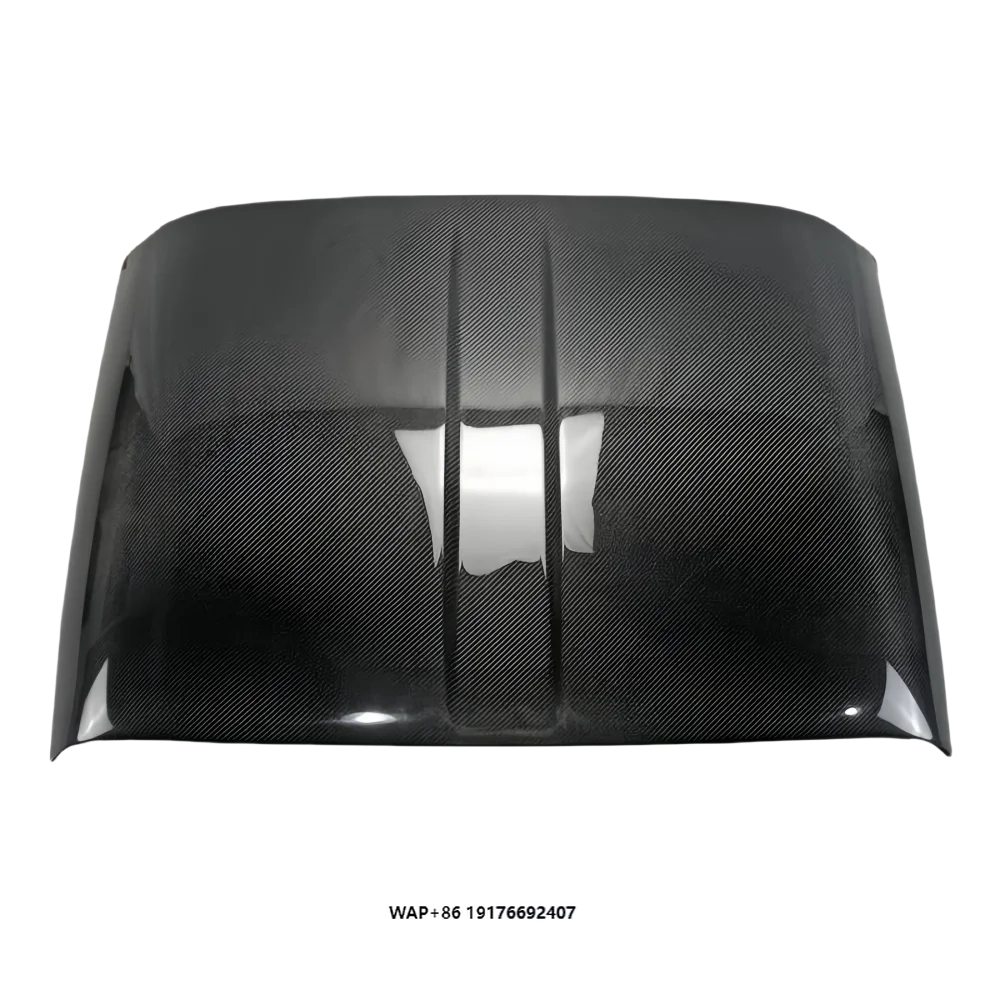 Compatible With Lotus Elise S2 S3 Carbon Fibre Modified V6 Exige Car Roof Cover