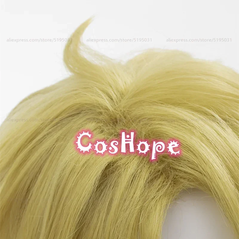 Kunikida Doppo คอสเพลย์วิกผมยาว 70 ซม.Frizzy วิกผมอะนิเมะคอสเพลย์วิกผมสังเคราะห์ทนความร้อนวิกผม