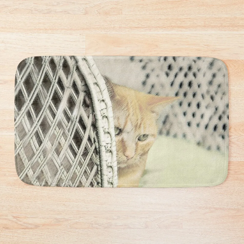 

Yellow Tabby Cat Bath Mat Rug Bathroom DoorFor Entrance Door Slip-Resistant Mat