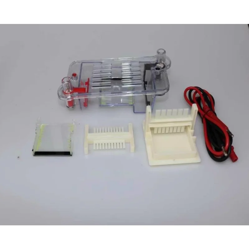 

Horizontal Electrophoresis Tank Agarose Electrophoresis Tank Biological Instrument Molecular Separation Teaching Instrument