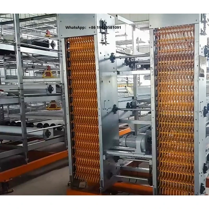 New Full Layer House Egg Gathering Equipment Automatic Chicken Egg Collection System for Farms