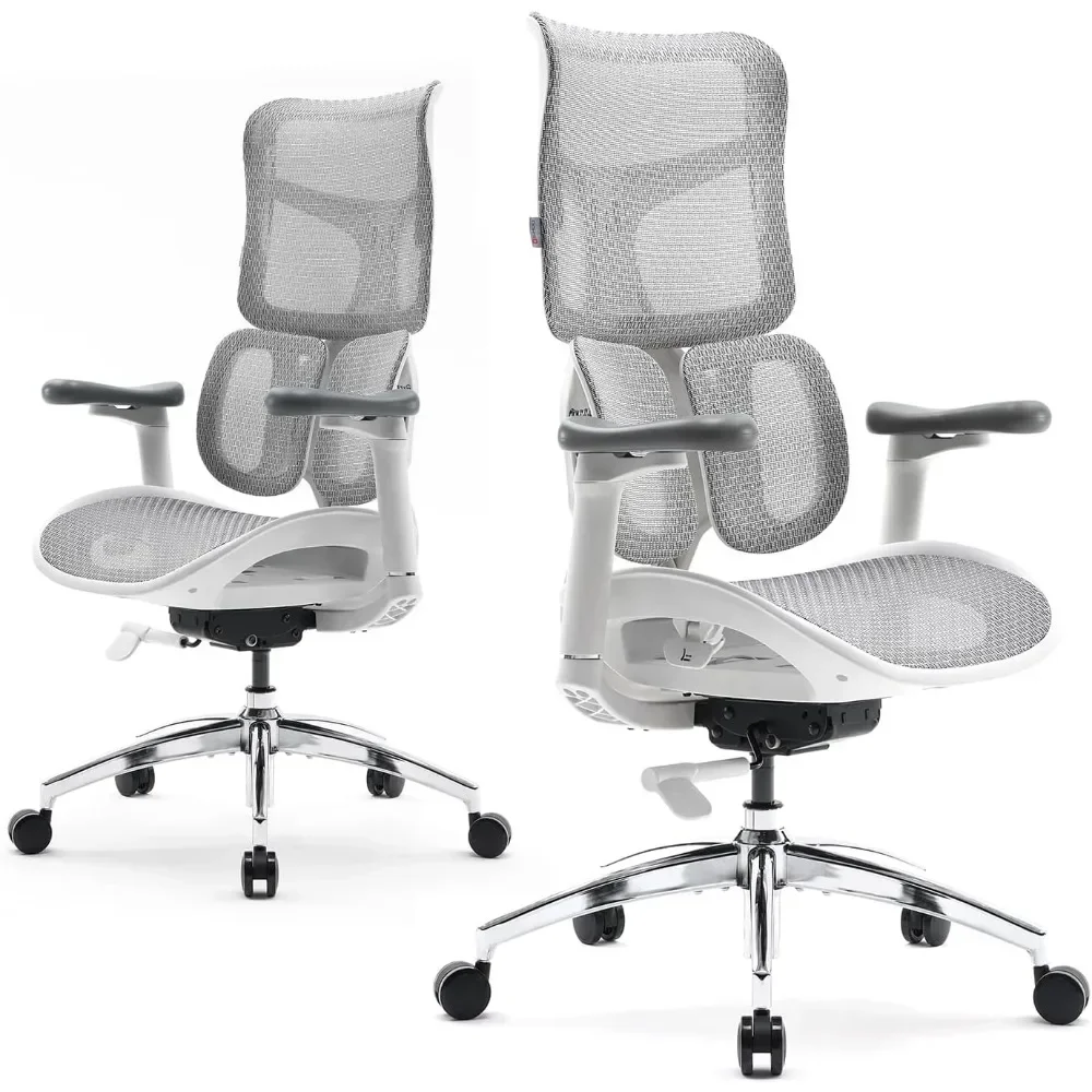 

Ergonomic Office Chair - with Dual Dynamic Lumbar Support, 5-Level Adjustable Backrest, 4D Coordinated Armrests