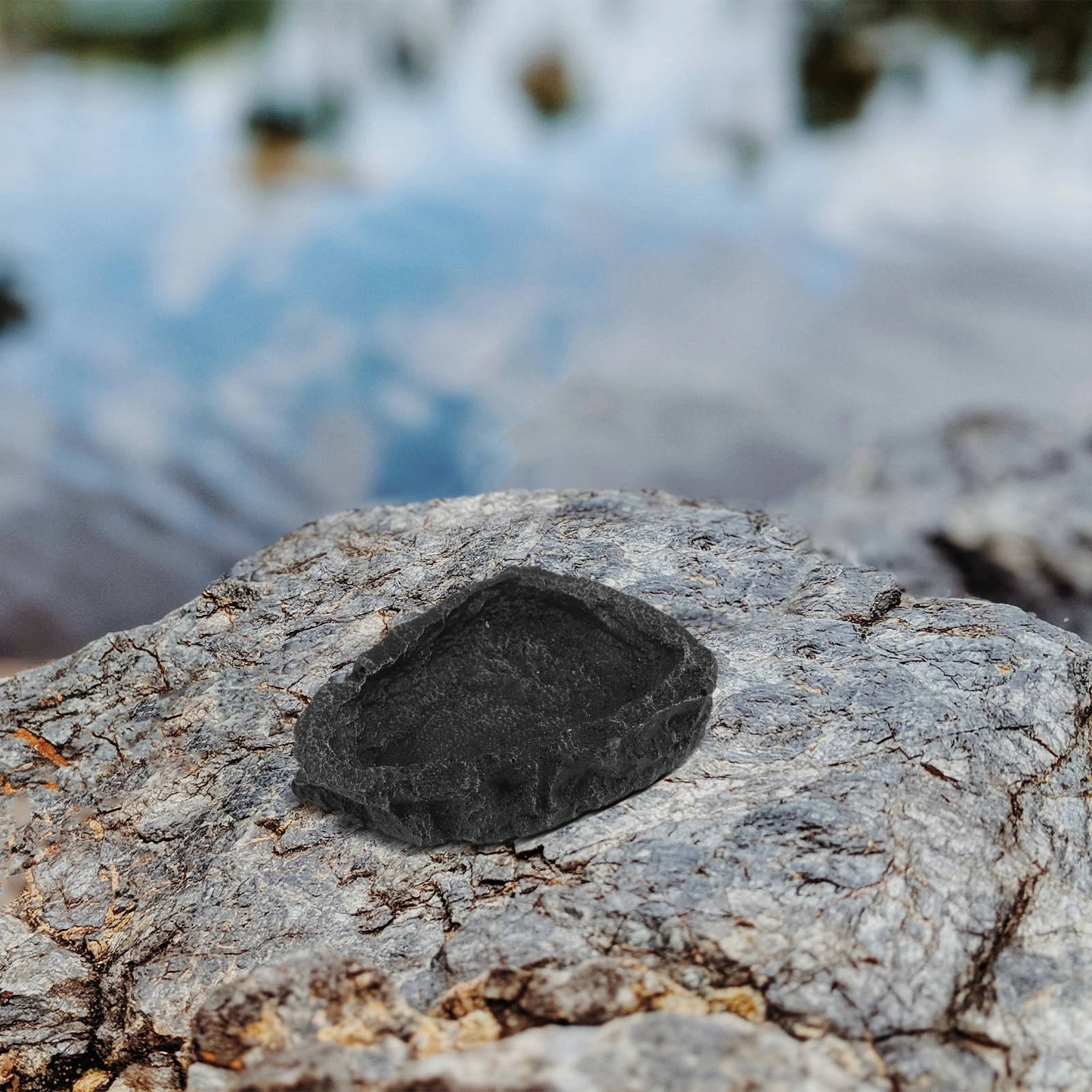 

Reptile Feeder Resin Durable Feeding Water Food Bowl Easy Clean Stable Reptile Water Dish for Lizard Turtle Tortoise