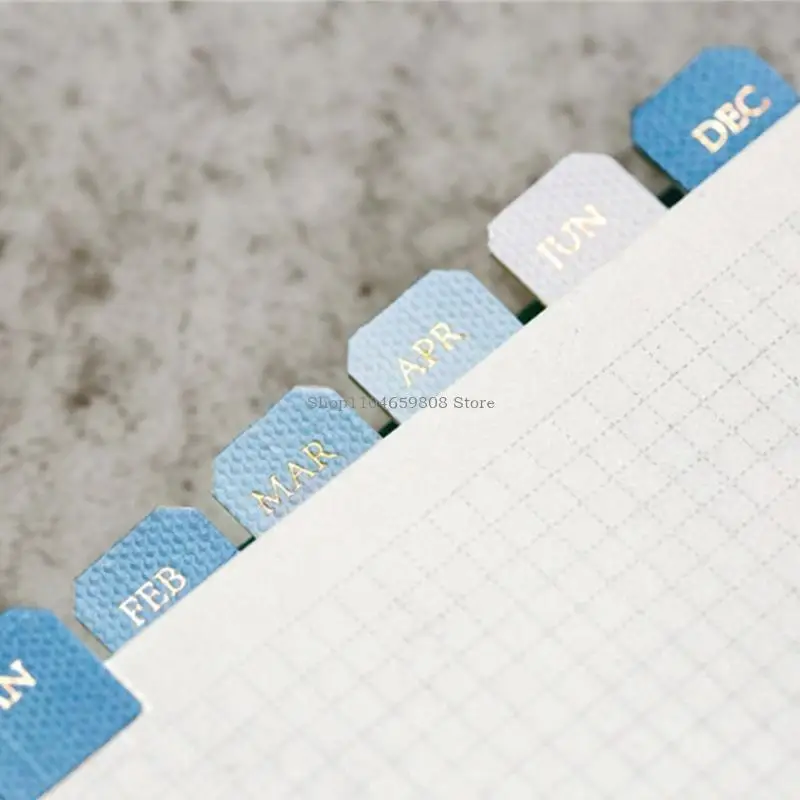 10 Sheets Monthly Separator Tabs Monthly Tabs Index Sticker Adhesive Index Tabs for Office Study