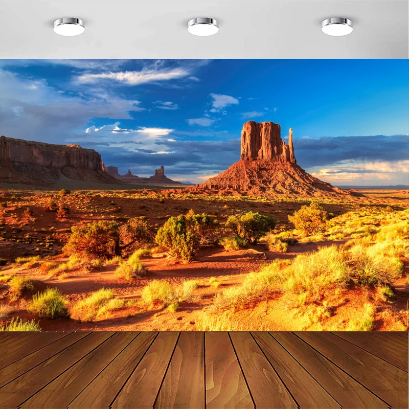 

Фон для фотосъемки с пейзажами в пустыне, Америка, западная гора, Национальный парк, природа, путешествия, фон, настенный плакат, баннер