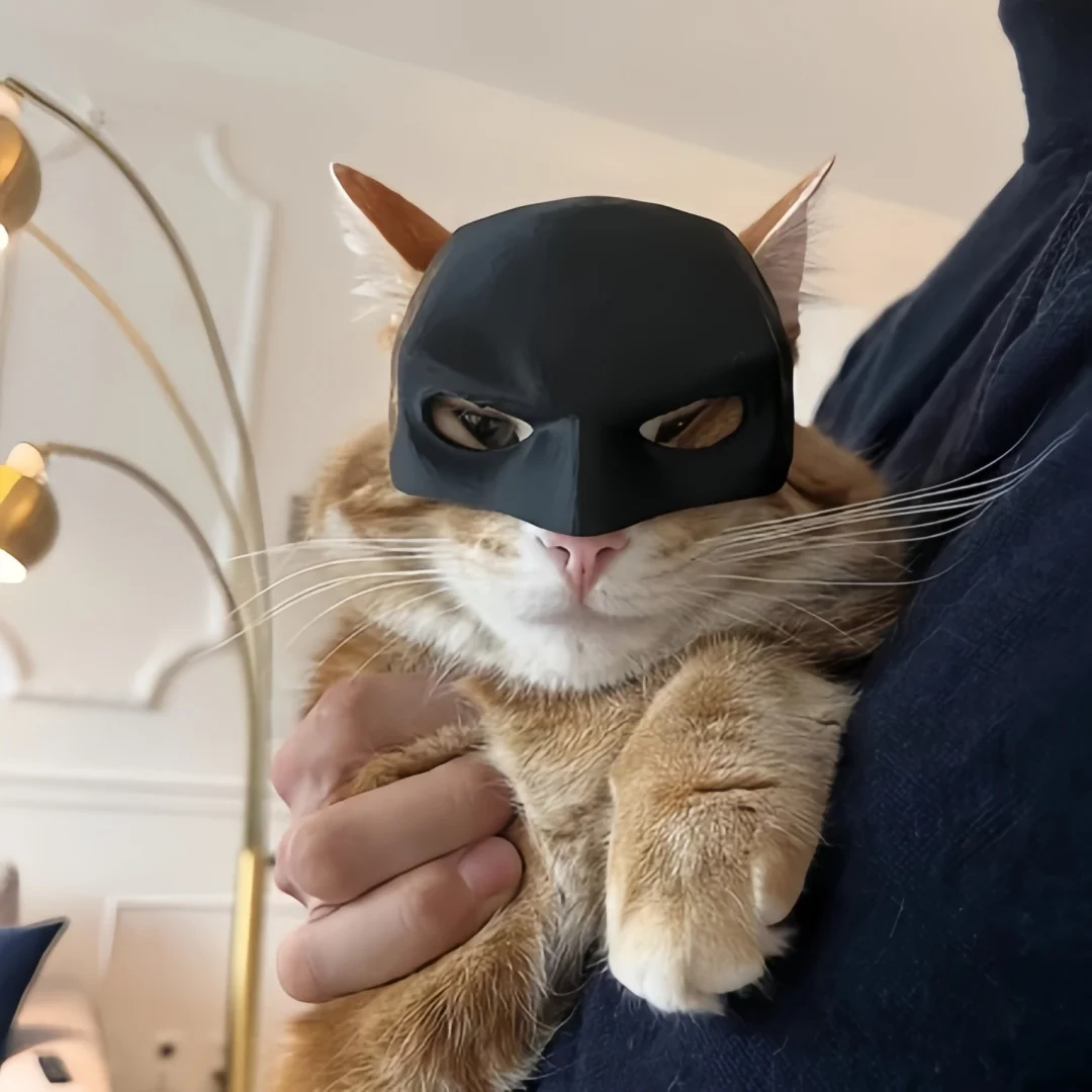 2-teilige Katzen-Avenger-Maske, schwarze Fledermaus-Halloween-Cosplay-Maske, lustige Plastik-Katzen-Party-Kopfbedeckung, Spielzeug, Foto-Requisiten, Haustier-Zubehör – Detail 8
