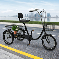 16 Inch Tricycle for Adult 1.45-1.70 m High Carbon Steel Single Speed 3 Wheels Bicycle with 2 Baskets Max Capacity 150 kg