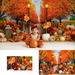 Autumn Pathway Backdrops Kids Baby Birthday Cake Smash Photocall Pumpkin Path Forest Fallen Leaves Backgrounds