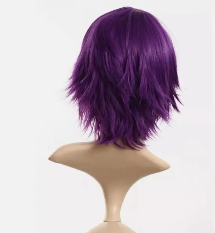 Cosplay Wig Anime Costume Straight Short Straight Purple Synthetic Hair Wigs USA