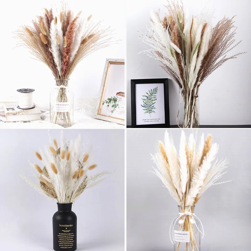 Luxury Rabbit Tail Pampas Grass Reed Gold Orbs Natural Dried Flowers Bouquet For Home Wedding Decoration Valentines Day Gift image 6