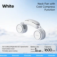 White ICE