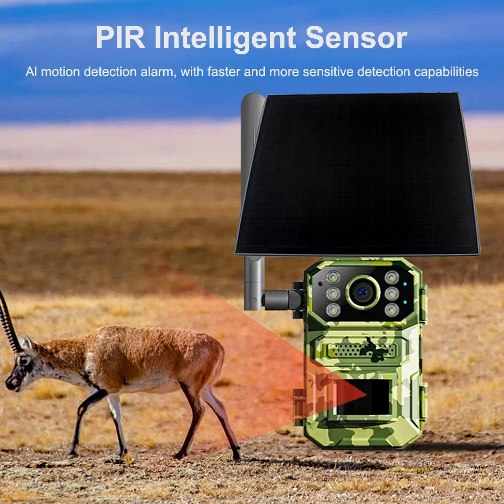 Wireless Hunting Camera Long Battery Life Instants Motion Activated Captures Forest