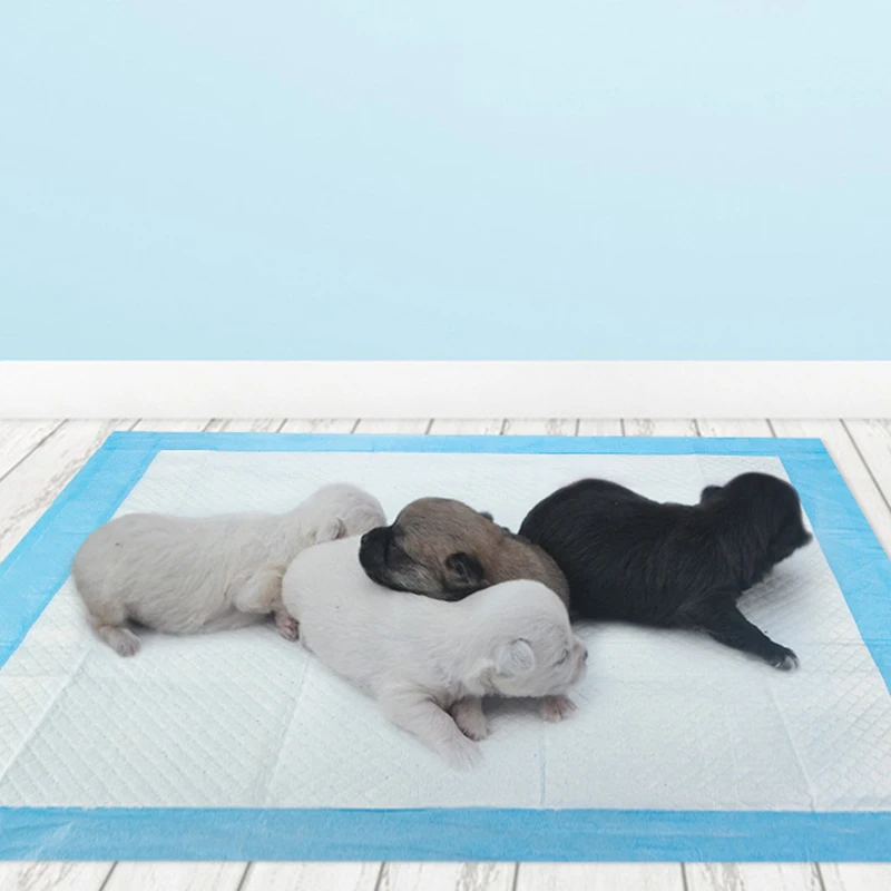 Thumbnail 3 - #6 Trending Dog Diaper Pads & Liners Right Now