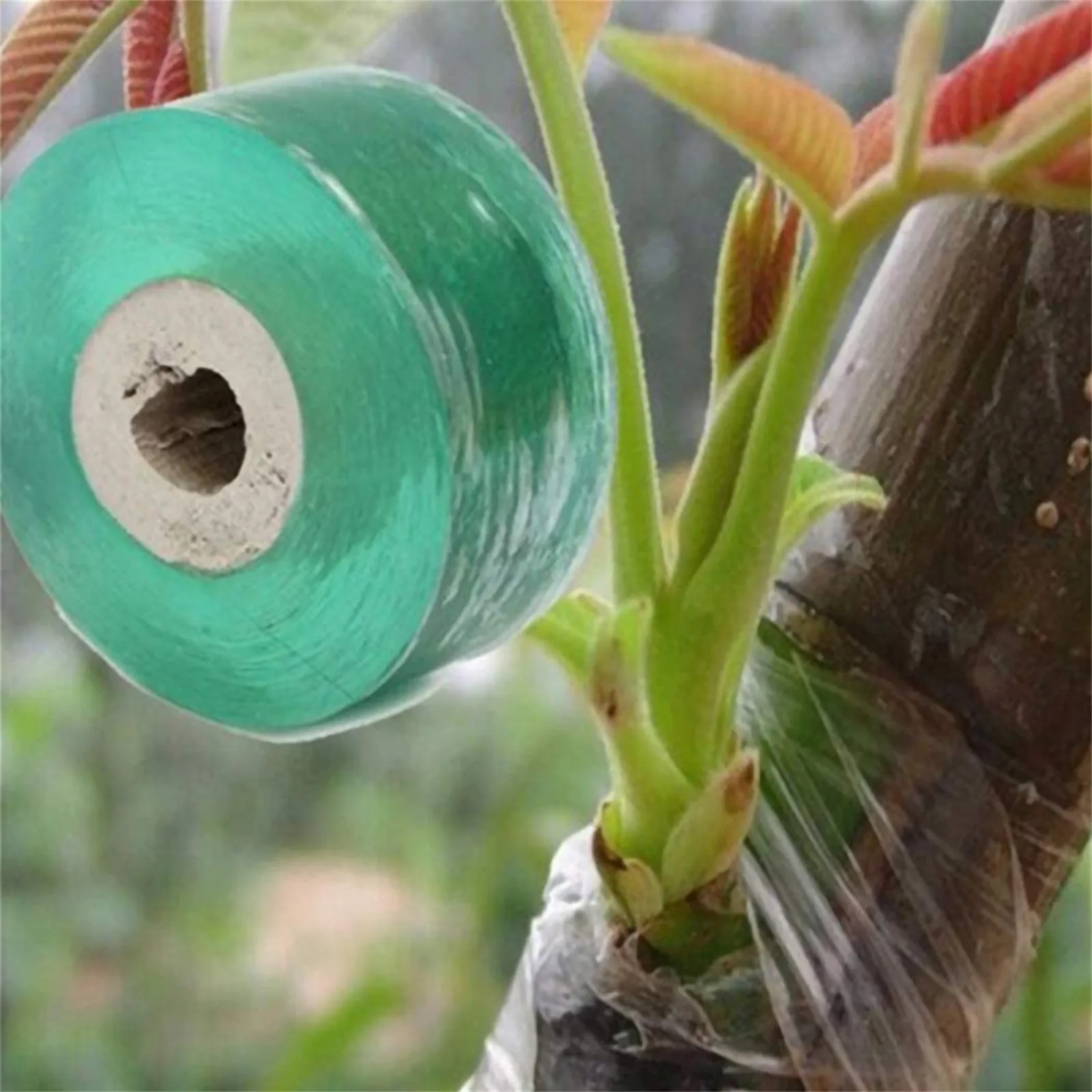 

Garden Grafting Film Tape Plant Repair Tapes Moisture Barrier Stretchable Clear Film for Garden Fruit, Floral,Tree Ploy Budding