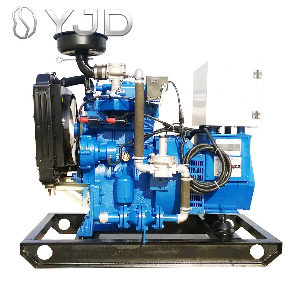 10kw 20kw 30kw 40kw 50kw Clean Energy Cogeneration Natural Methane Standby  Natural Biogas Lpg Gas Generator Set