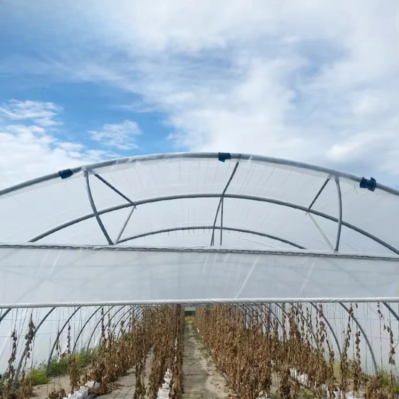 GT Spot Goods im Angebot Kostengünstiges kommerzielles Gewächshaus Landwirtschaftliches Tunnelgewächshaus für den Nahen Osten