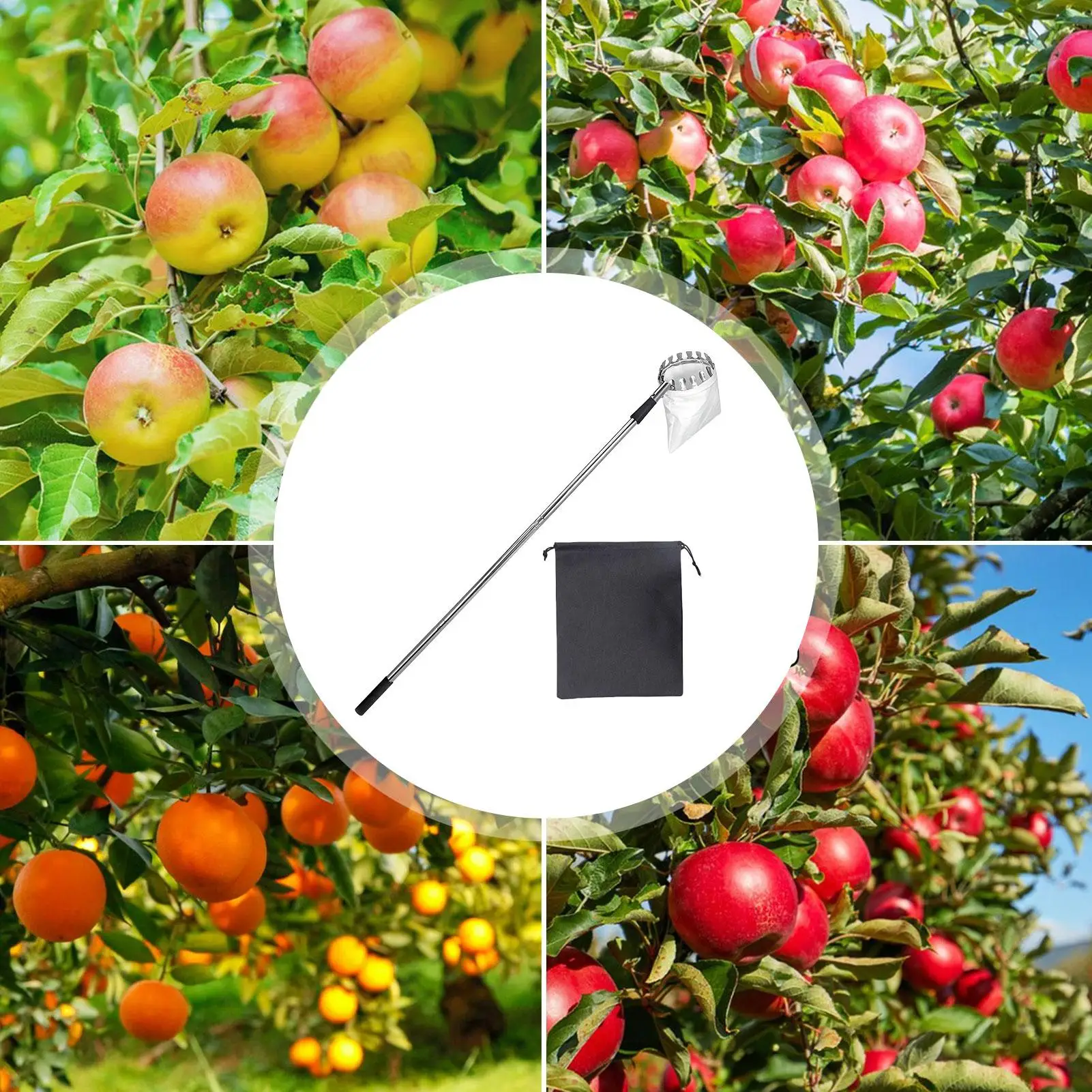 Lemon Picker For Tree Telescoping Fruit Picker Pole Stainless Steel Adjustable Grabber Reacher Tool For Acorn Lemon Pear Mango