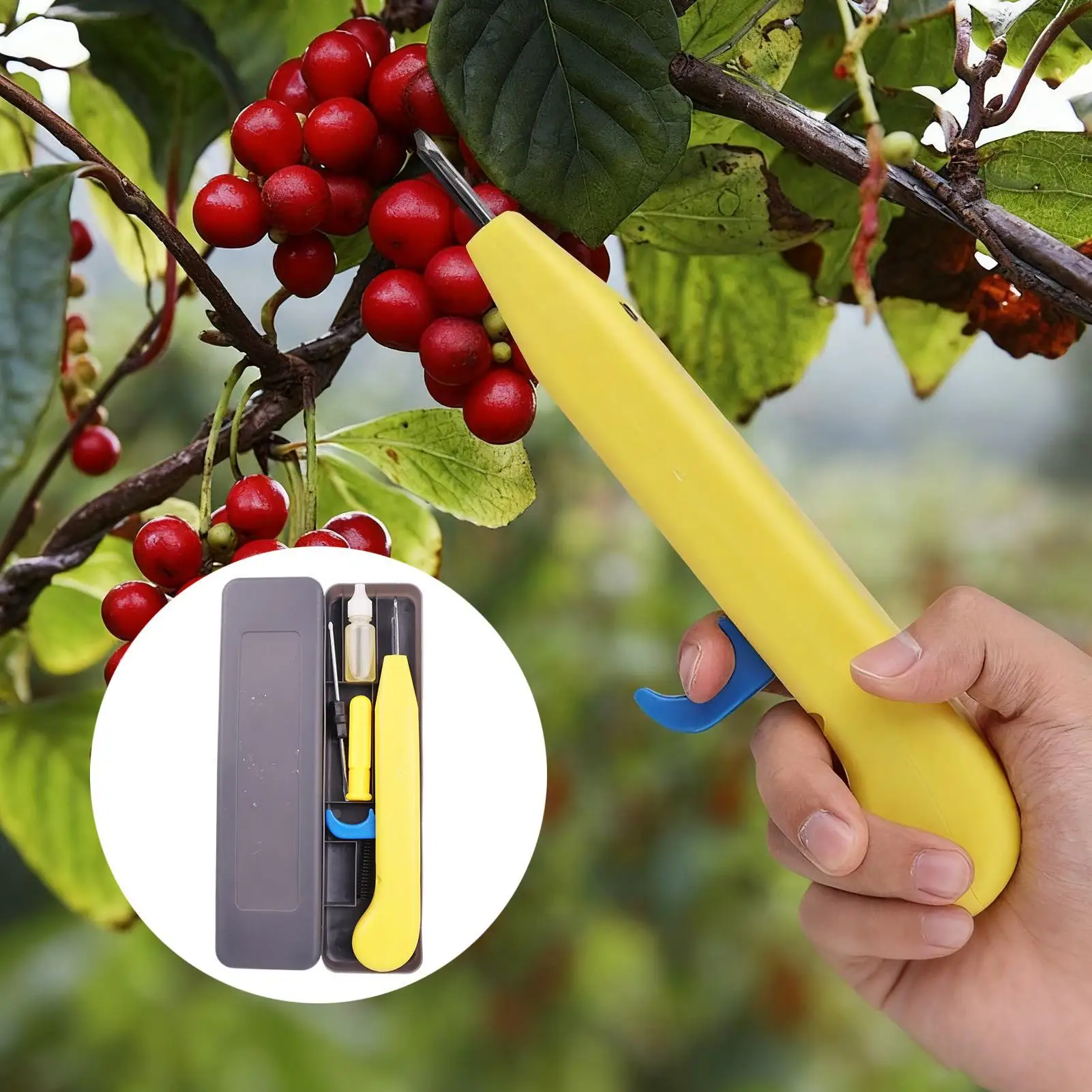 

Sichuan pepper picker fruit and vegetable picking Handheld Plant Clippers Tea Trimming picking shear Garden Hardware Tools