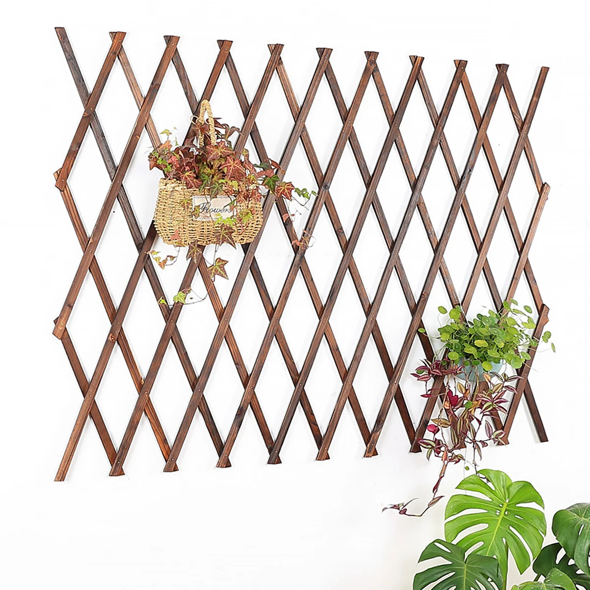 

1pc Rattan Plant Climbing Support Flower Frame Vine Bracket Gardening Supplies Balcony Wood Material Durable Wall Growing