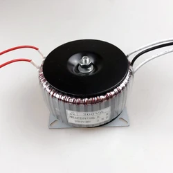 200W toroidal transformer 220V to dual 12V power amplifier transformer audio amplifier power supply can be customized voltage