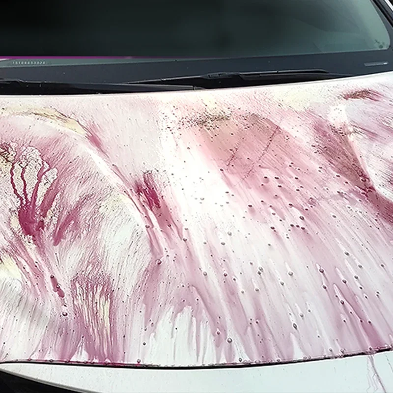 Dissolvant de Fer pour Soins de Voiture, Liquide qui Protège les Roues et les Disques de Frein de la Poussière, Nettoyant Chimique de Rouille de