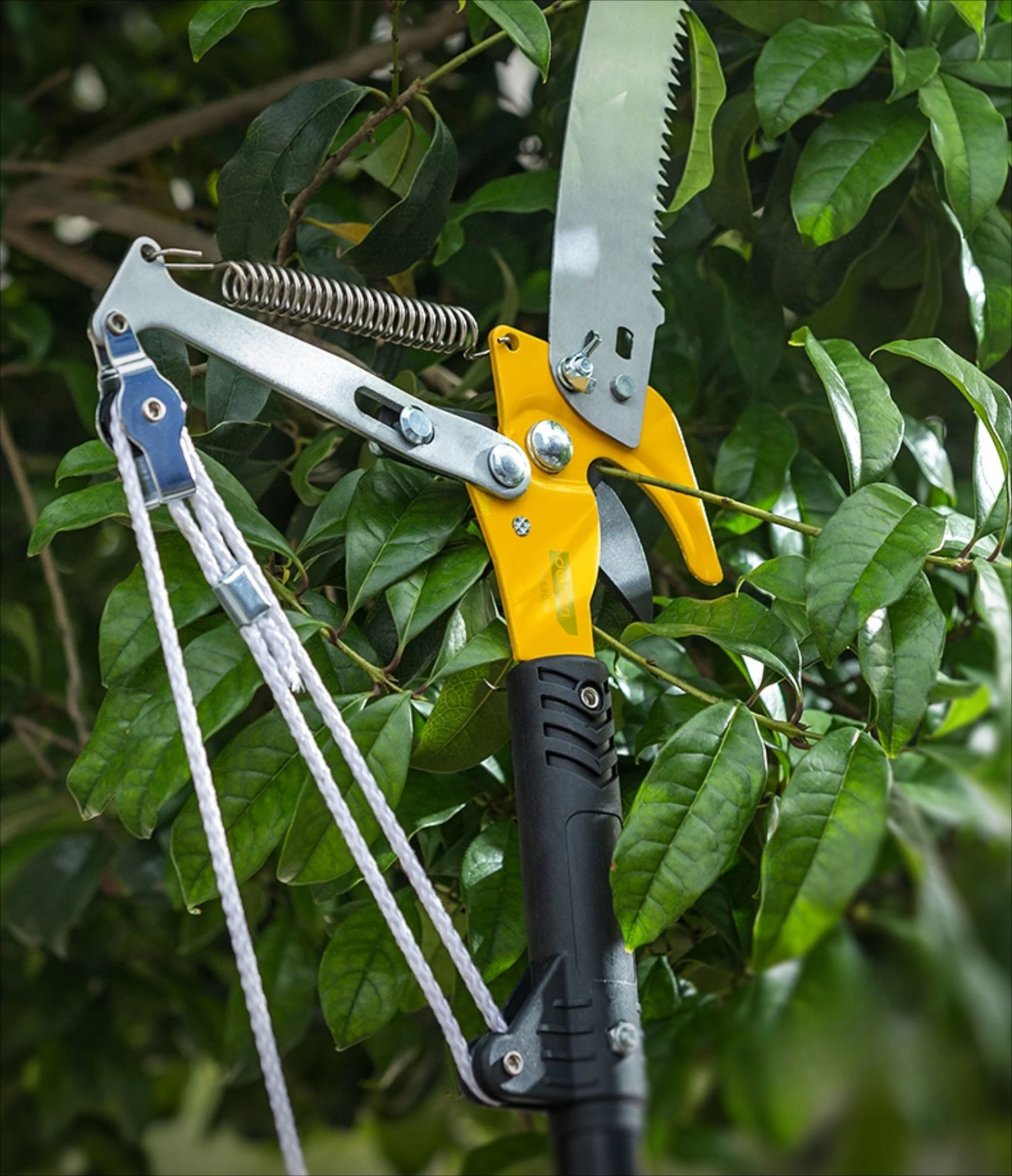 

High branch shears High-altitude pruning Telescopic high branch Saw Saw tree fruit tree shears