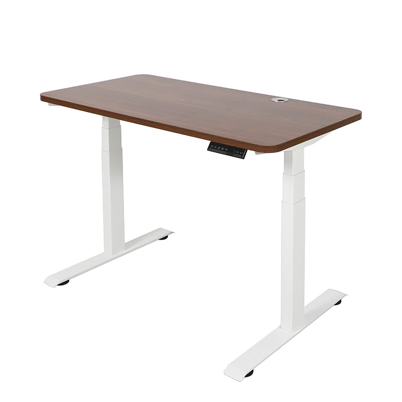 Dual Motor Electric Standing Desk For Office Executives Height Adjustable With Wheels Solid Wood Modern Design