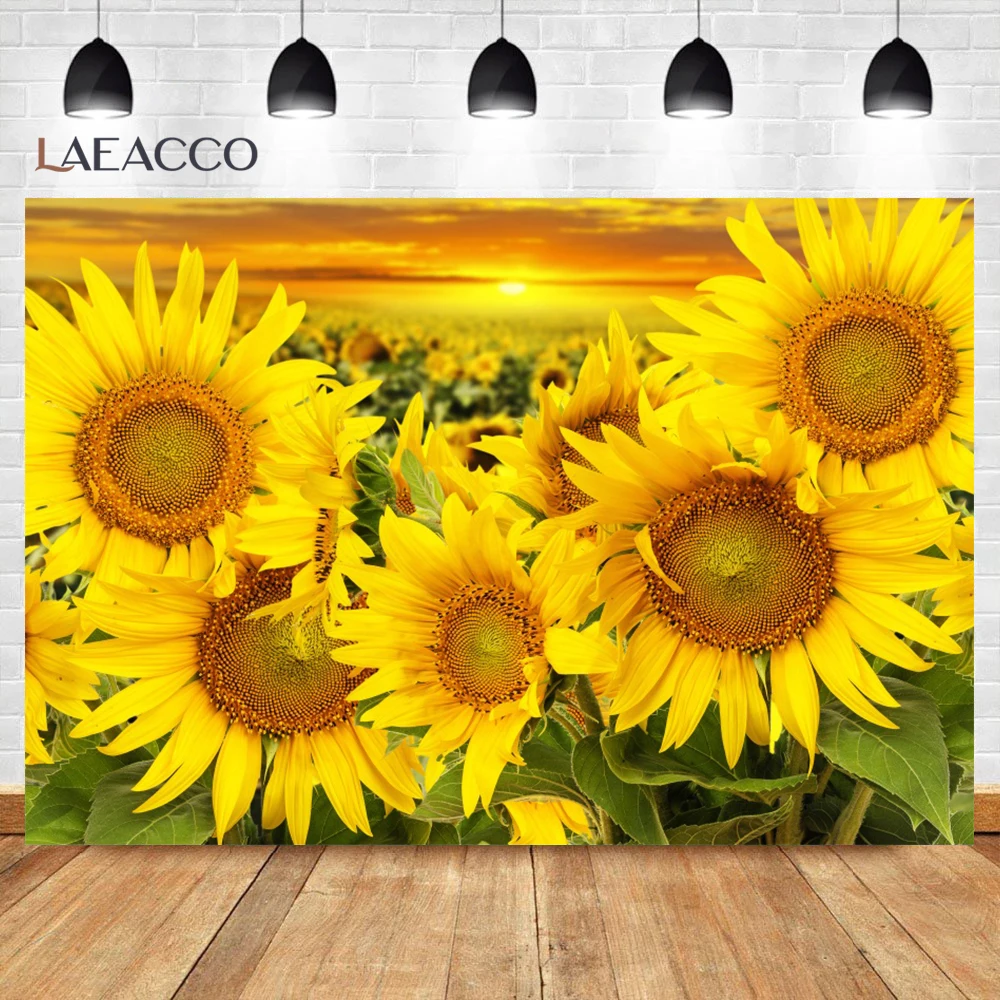 Laeacco Sunset Sunflower Backdrops for Photographers Natual Landscape Scenery Newborn Portrait Photo Photography Background