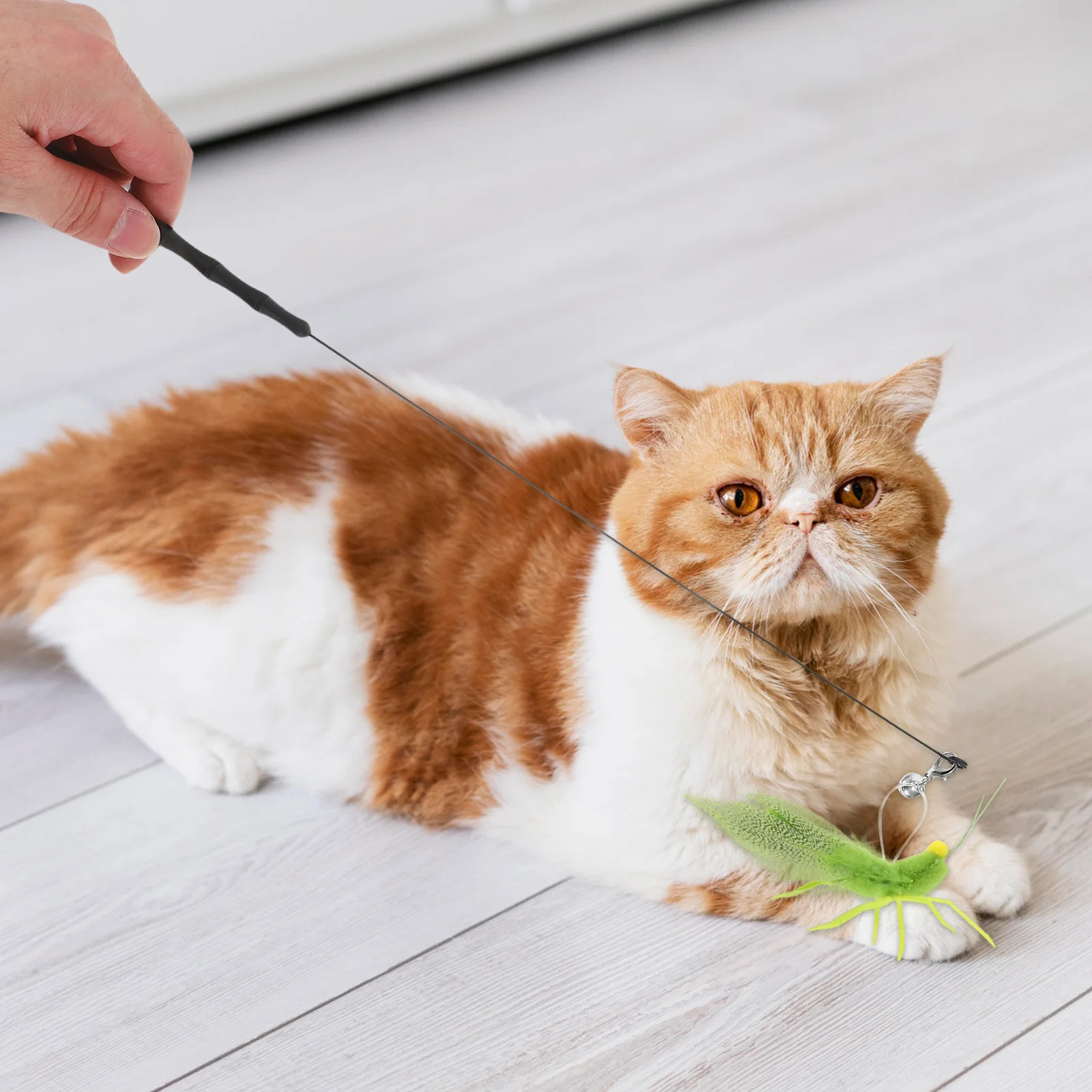 

1 Set Plumed Silicone Cat Wand Realistic Grasshoppers Design Enhances Hunting Instincts Lightweight Soft Natural Materials For
