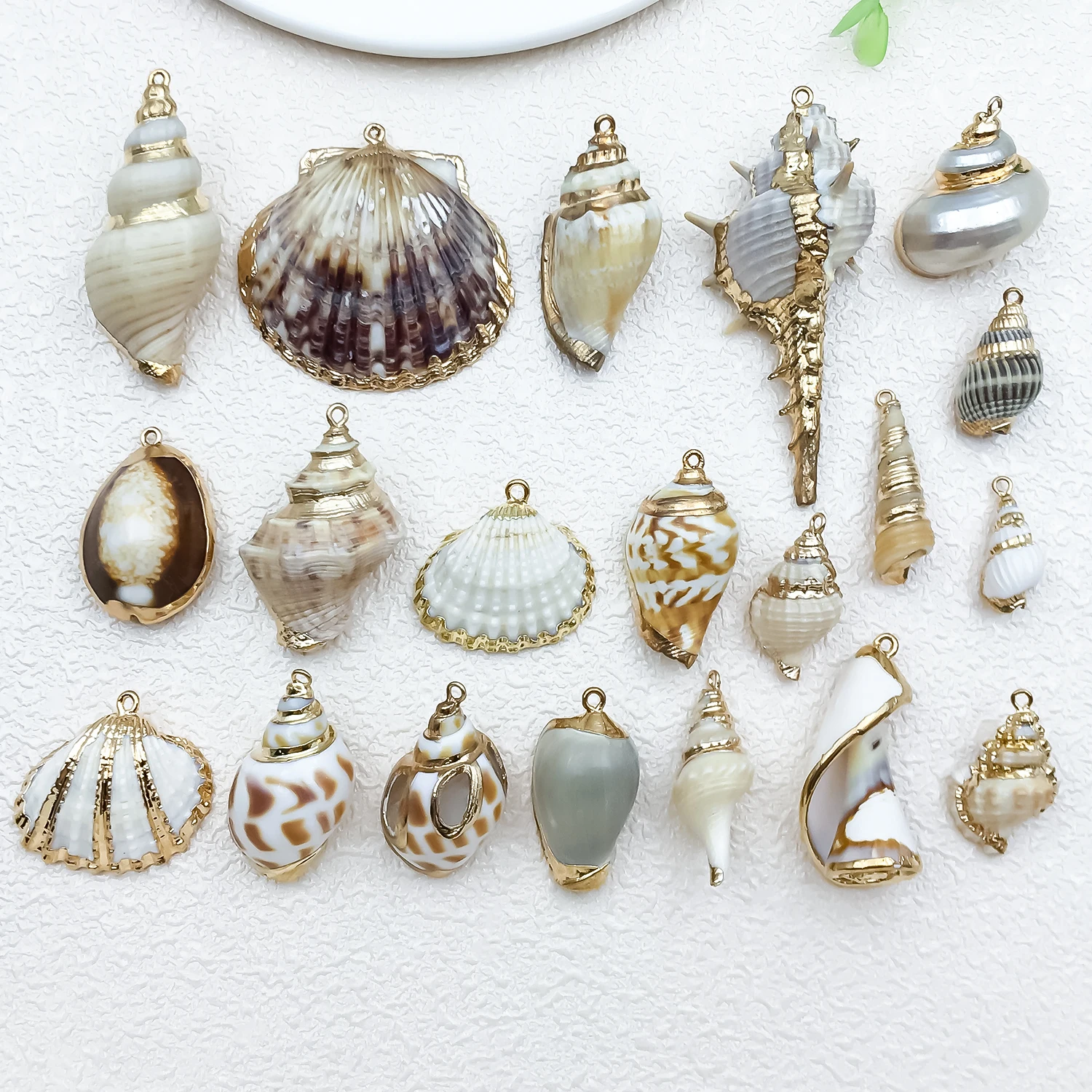 5pcs Natural Conch Shell Pendants Electroplating Seashell Charms For Boho Ocean DIY Jewelry Making Earrings Bracelet Necklace