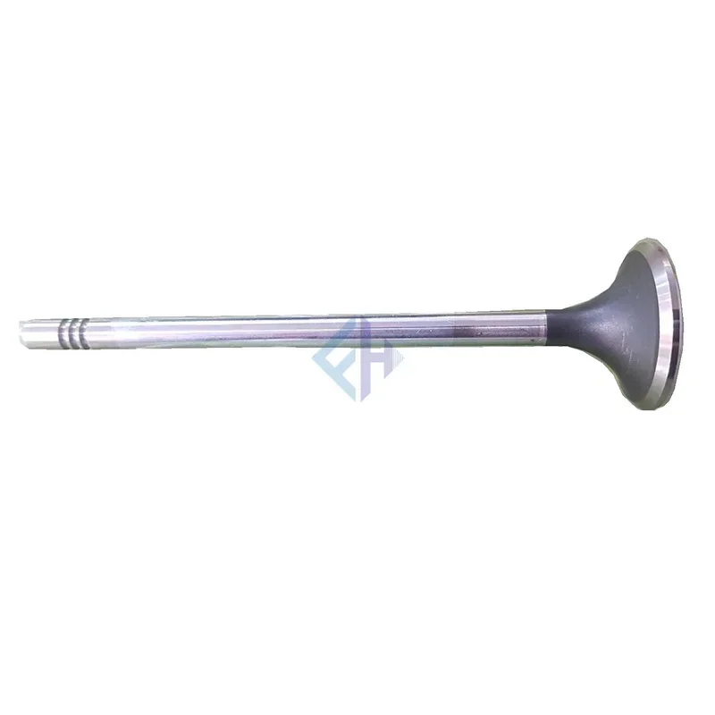 Original Cylinder head Intake Valve for Rexton Y200 2001-2005 D20DT D27DT 6650530401 High Quality